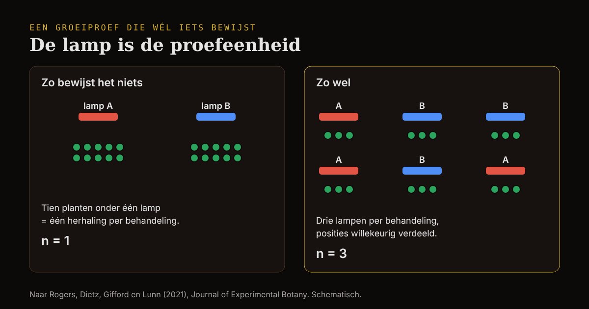 Links twee lampen met elk tien planten, één herhaling per behandeling; rechts zes lampen, drie per behandeling en willekeurig verdeeld, met elk drie planten