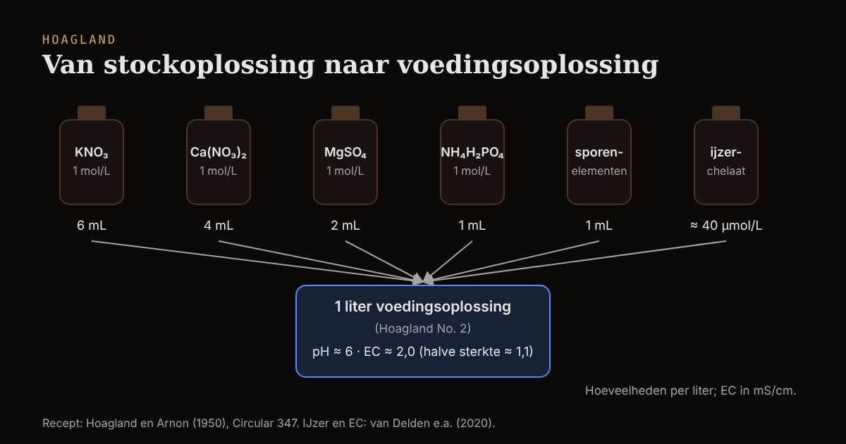 Schema van Hoagland No. 2: per liter 6 mL kaliumnitraat, 4 mL calciumnitraat, 2 mL magnesiumsulfaat en 1 mL ammoniumdiwaterstoffosfaat uit stockoplossingen van 1 mol per liter, 1 mL sporenelementen en ijzerchelaat; pH ongeveer 6, EC ongeveer 2,0 mS/cm