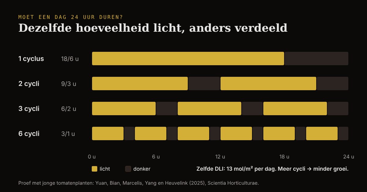 Vier lichtschema's van 24 uur met dezelfde dagelijkse lichthoeveelheid: 18/6, tweemaal 9/3, driemaal 6/2 en zesmaal 3/1 uur; de groei van tomaat nam af met het aantal cycli